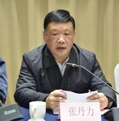 张丹力新作，探索艺术领域的新篇章