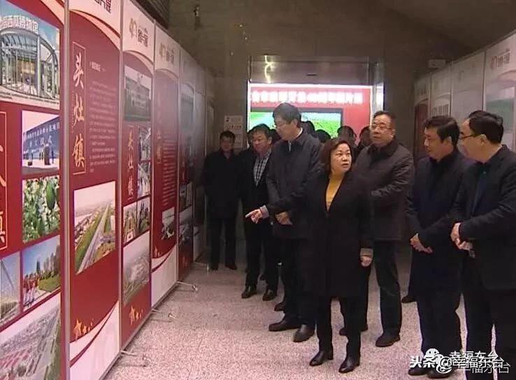 东台城东新区规划更新，科技引领未来，生活品质升级